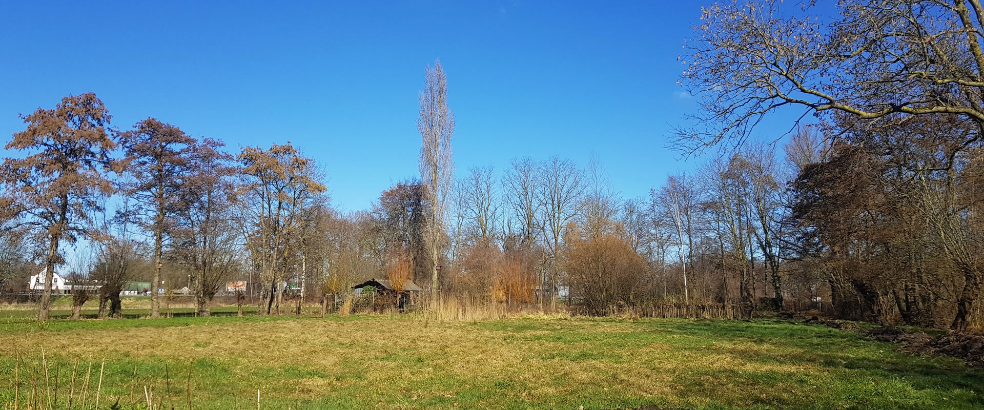 LaarbeekersBos